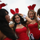 Playboy Bunnies in 2011.